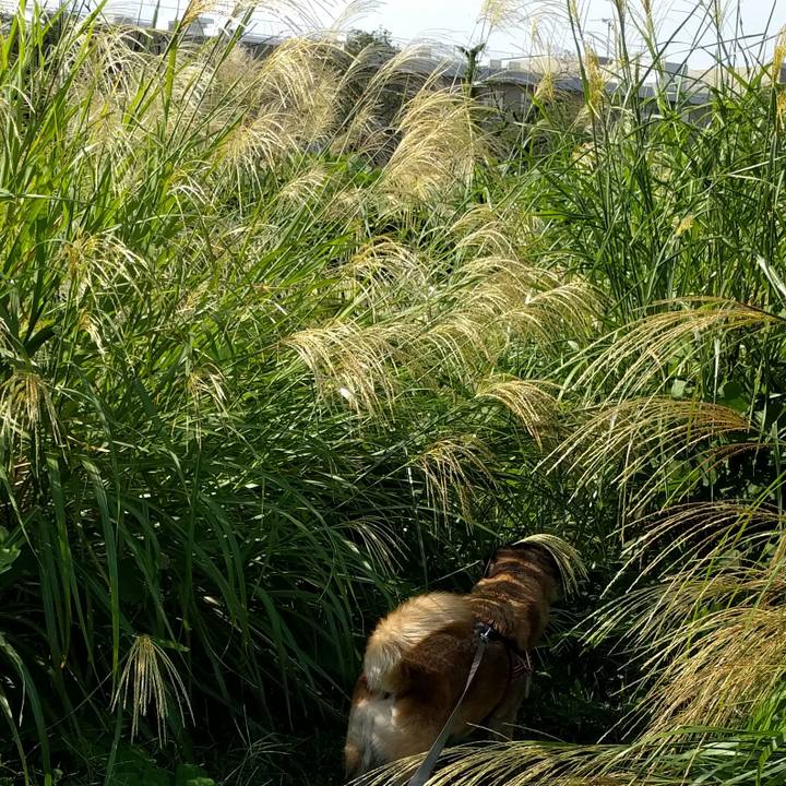 54ec9f96 b2a5 4532 9a4c 419b539b3d9d