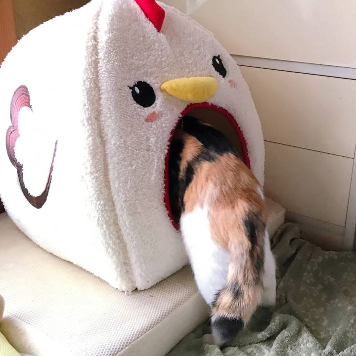 54ecf053 f44e 437d a25f e8568382b9a1