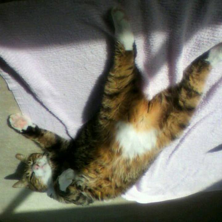 54ed6ac2 9f91 445d 8131 1685a60b5ac1