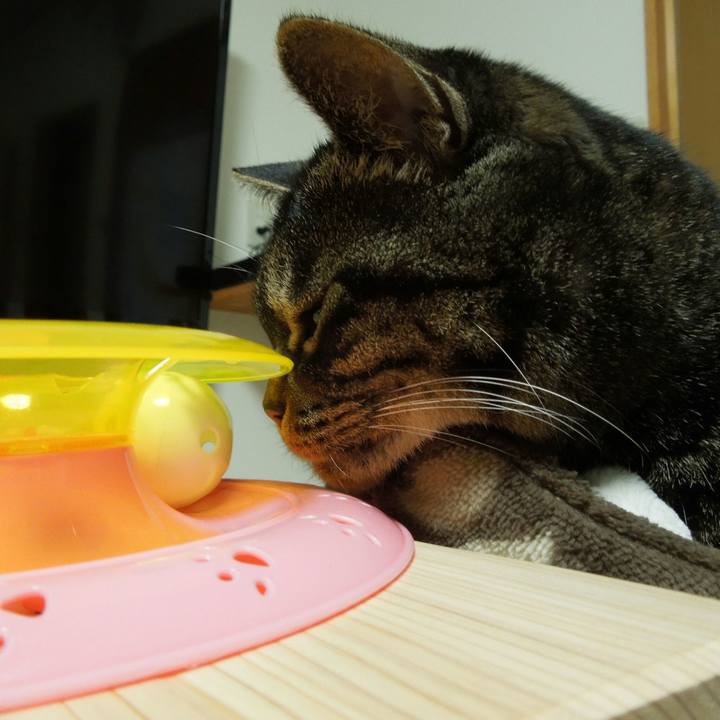 54ee5cd1 2dde 495e 829a 011694270f4d