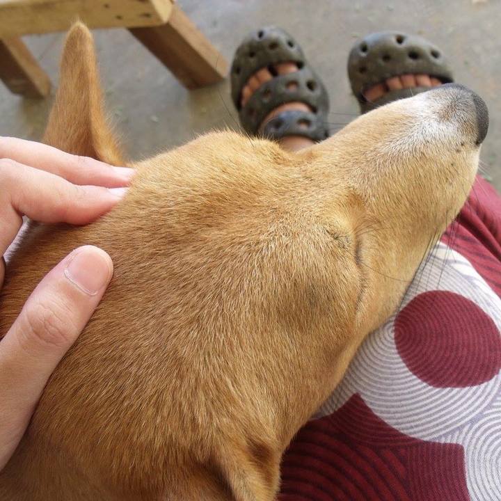 54ee7df3 1922 4b17 876f 7a0c51142a53