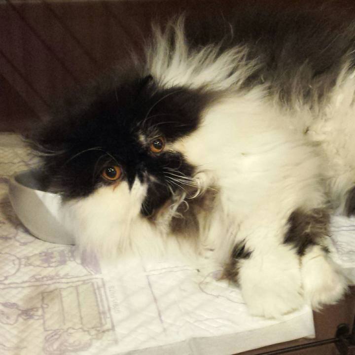 54ee854b db61 4631 b2f3 b6ce29764f8a