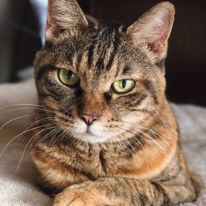 54ee8dcd c0b5 413a b653 4961e3e5ddc9