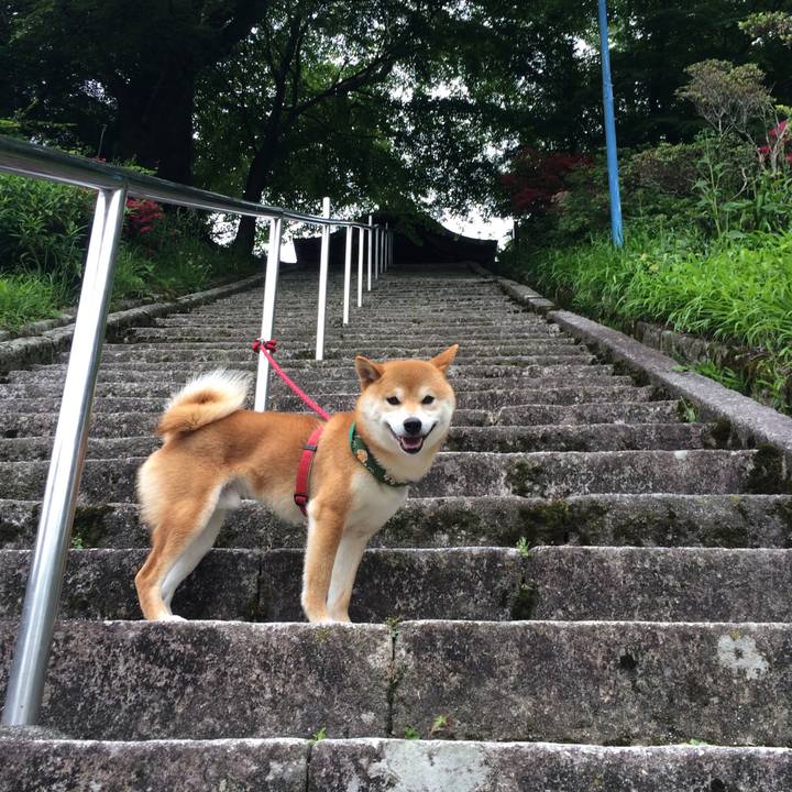 54ef2692 29ed 4f64 be16 727e940dc641