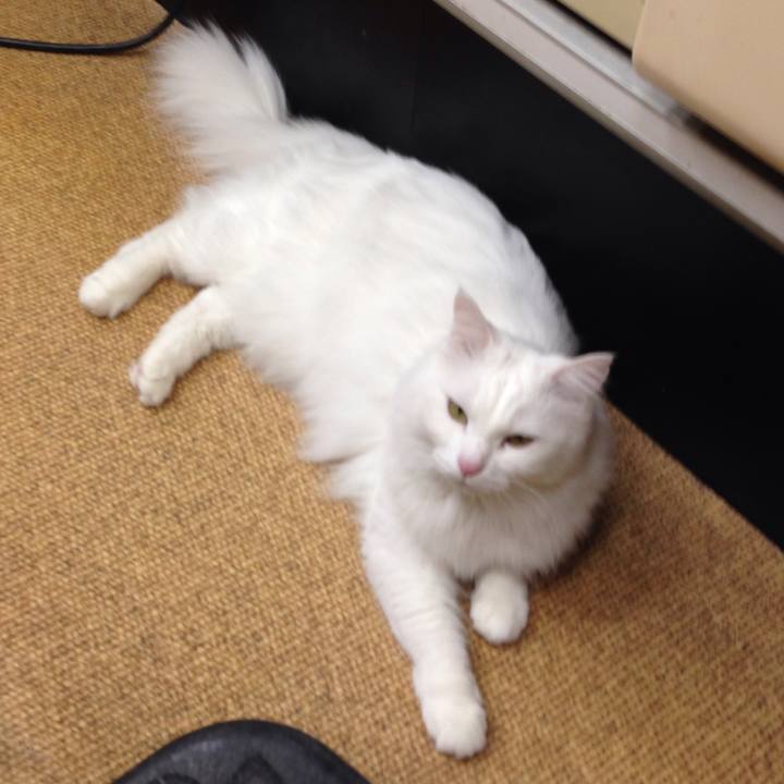 54f019b7 d270 4d09 b183 3738deccef43