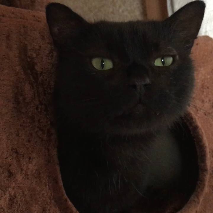 54f022df 3e33 429c a8f6 a8e38ad395b4