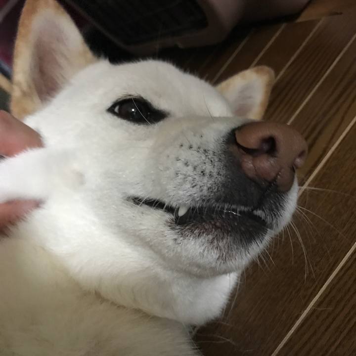 54f0b37b a959 4467 b138 581e837f9a23