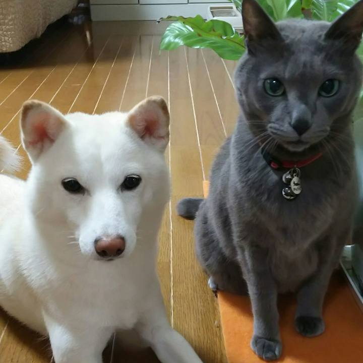 54f11e03 07aa 4d7e 8c35 d1d0a68357e0