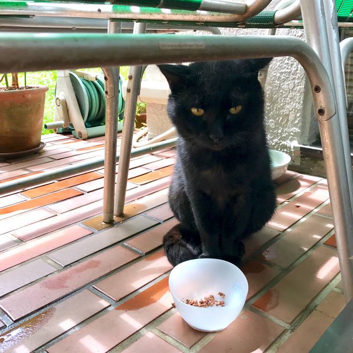 54f12185 1c59 4246 9478 50fd0265674a