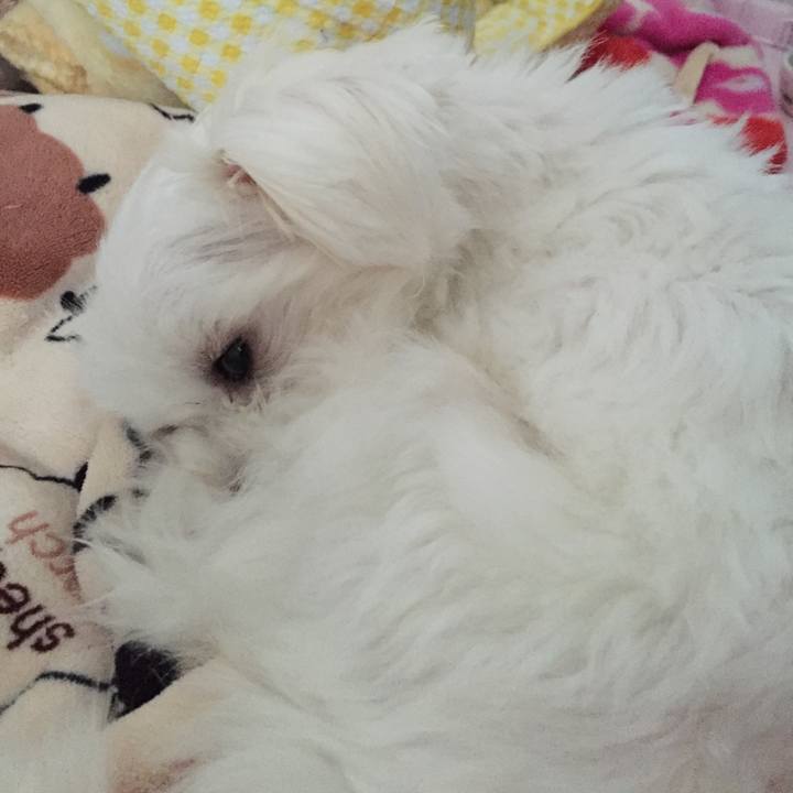 54f13d1a 0d6d 4dde 9811 ce9d27b12da8