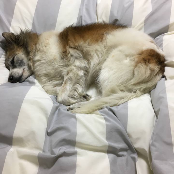 54f15344 dcf3 444f 8ef8 abf5c93caa1a