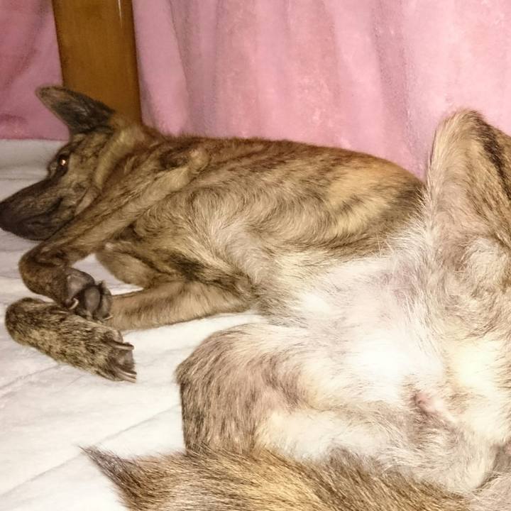 54f156fc e878 479a a80f 8ea104bc8e8a