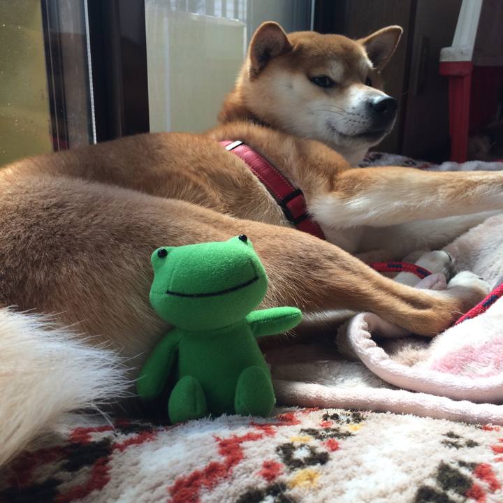 54f16036 03df 4e38 a5d4 9ad933f51598