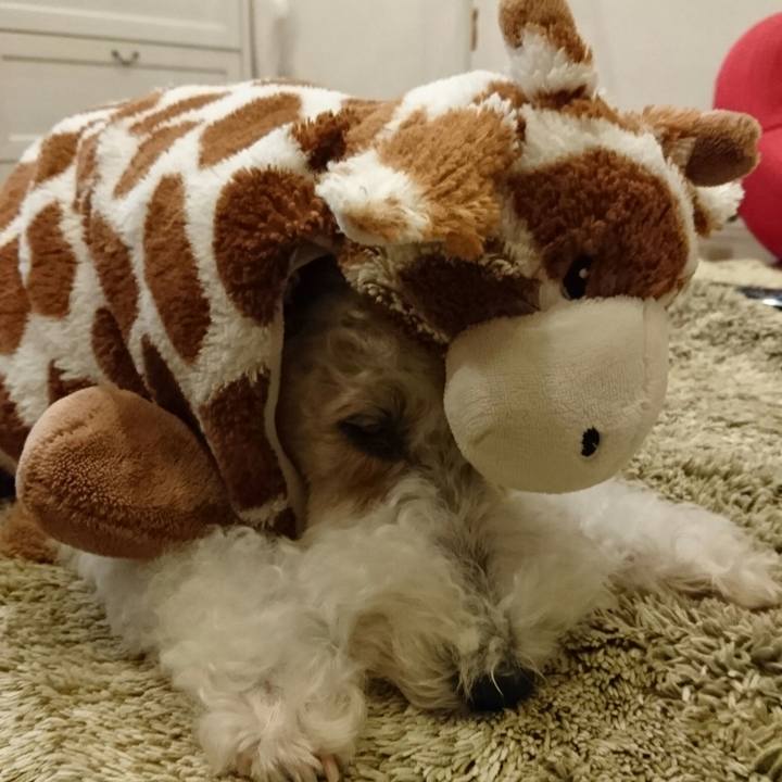 54f16f67 6ba1 483a 8a6b 84f8eff8bd46