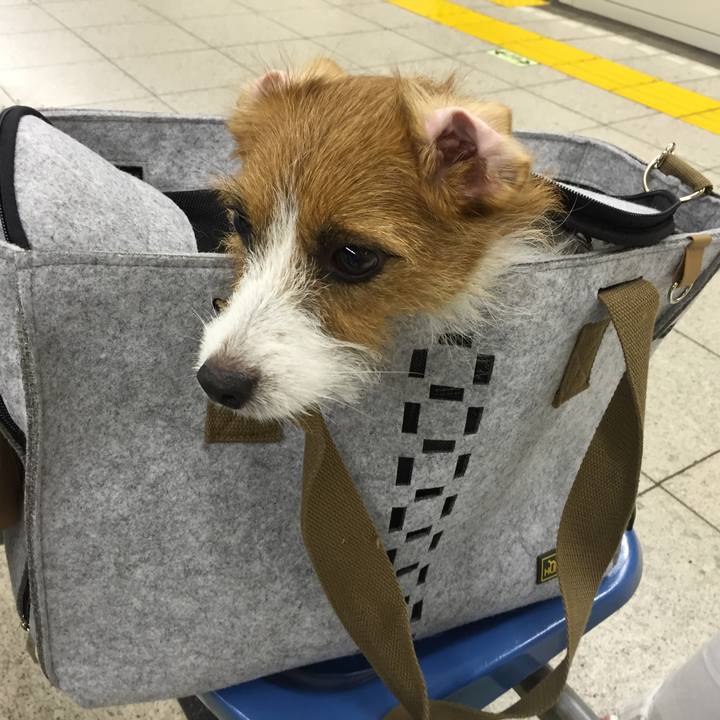 54f19c1e 18aa 4c7e 9a7f 2d66aa98dd84