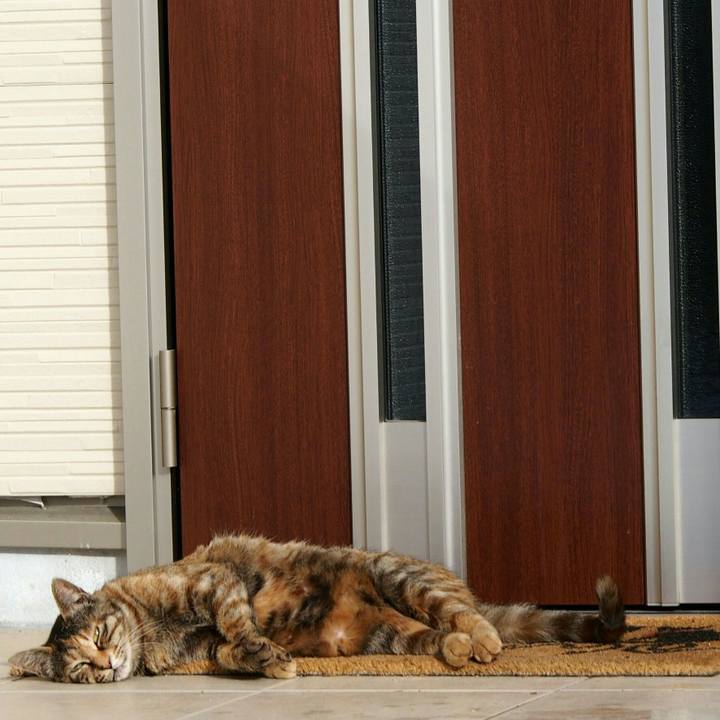 54f1c59e 46ff 4958 ac5a 4dd967b1b1da