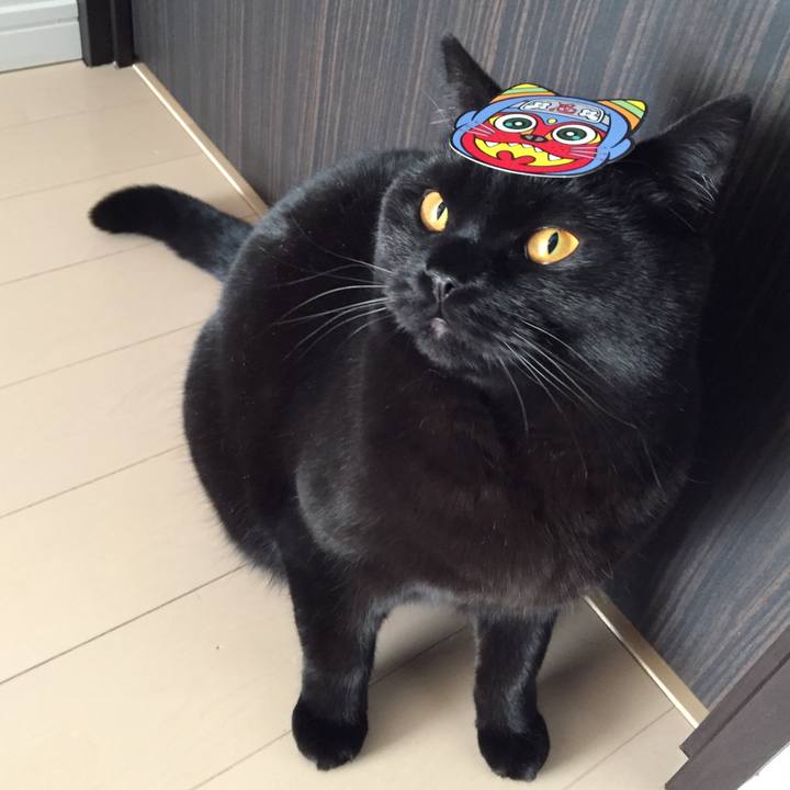 54f2094a 2179 4d17 805c b104aa3a2beb