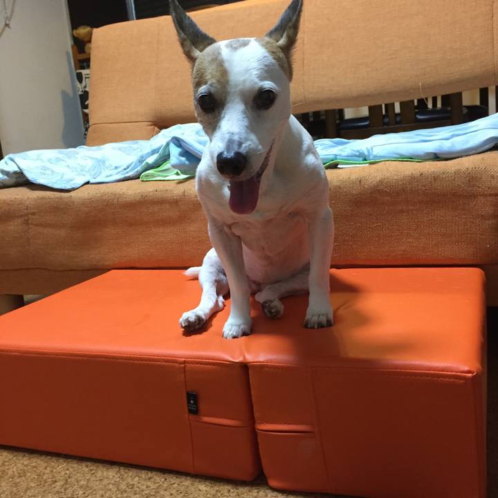 54f23f25 2318 4eb8 b2e1 da56a47efa88