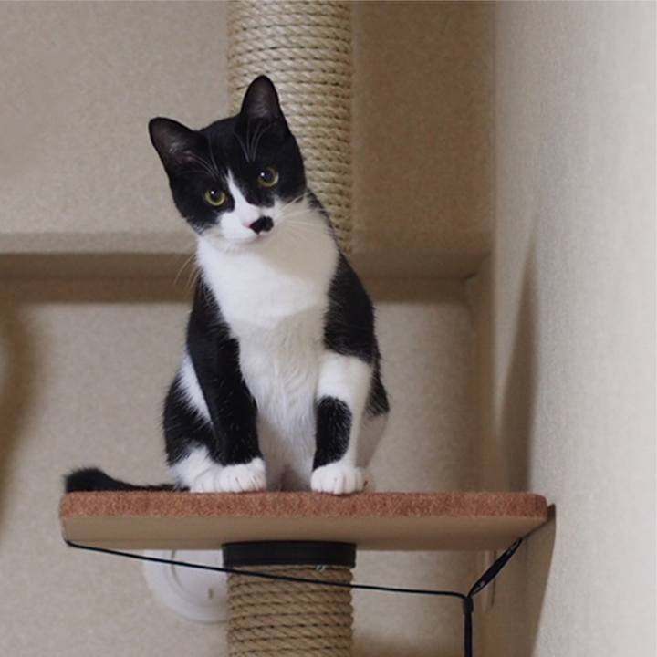 54f24d20 1c53 4329 afab 5551ad345fb1