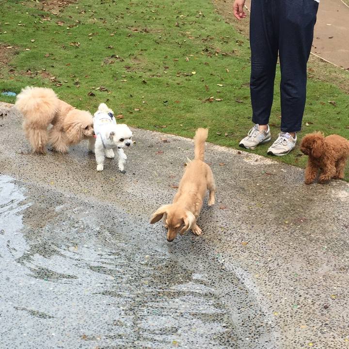 54f28f51 0e77 4c1e 8811 cae2b9c51337