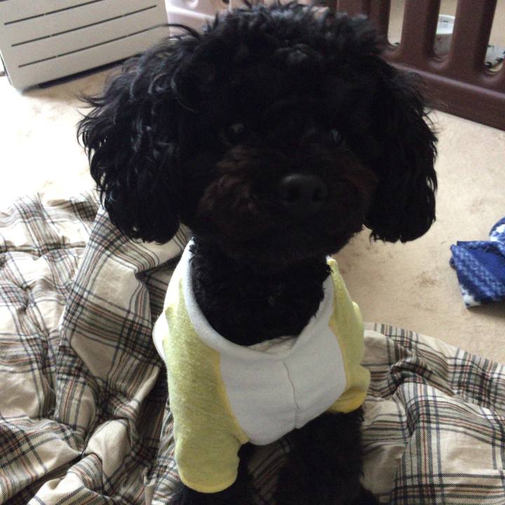 54f2a394 4cac 4ab4 9b45 b63a6f05bec2