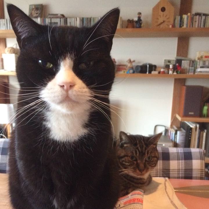 54f30203 a0b5 4612 b885 a3d87becc66d