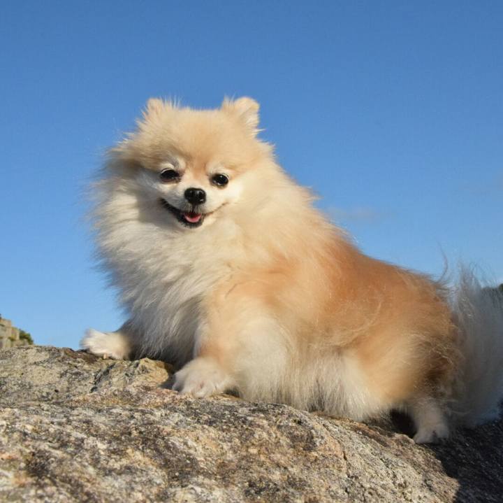 54f3d6b3 9fea 4613 aeb2 ba3f84d98dc5