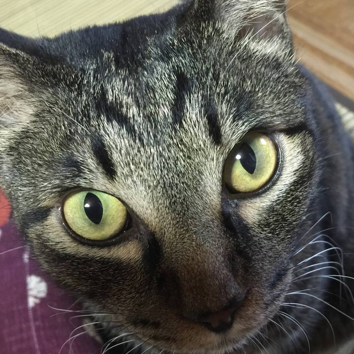 54f4f00c ce0b 4162 be7d 435e92b1a0a1