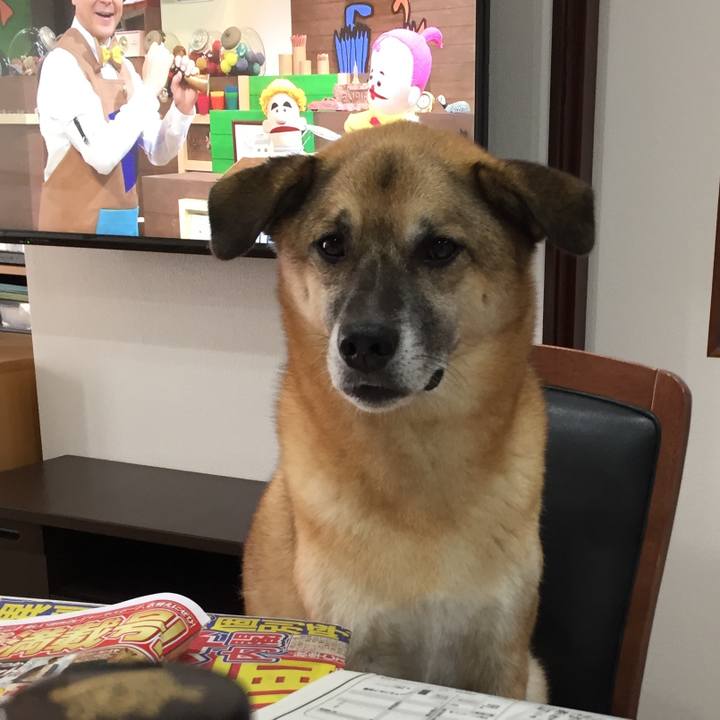 54f4f9c9 2856 43f5 aa13 8c883db94209