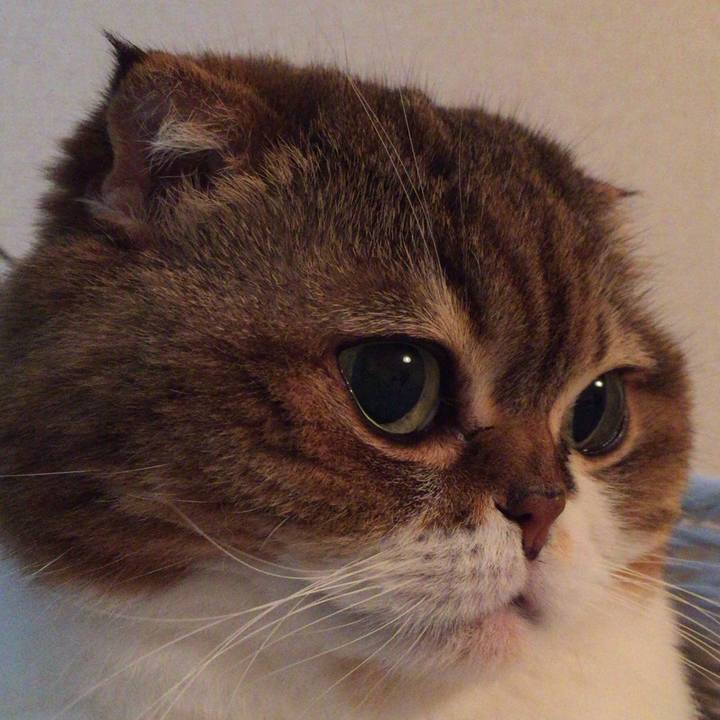 54f50181 1745 4be2 ad65 8bca22e2ac1b