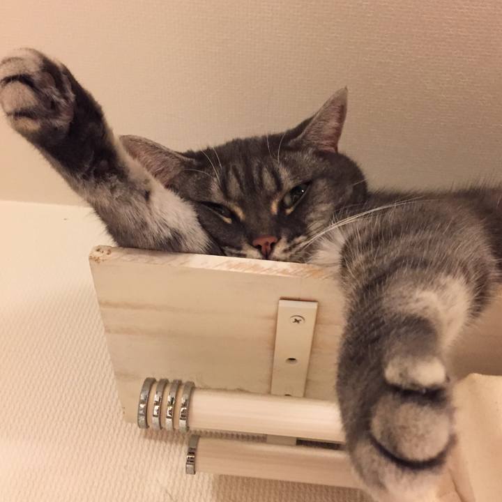 54f5c556 89cc 4467 9b64 02328b86fe3f