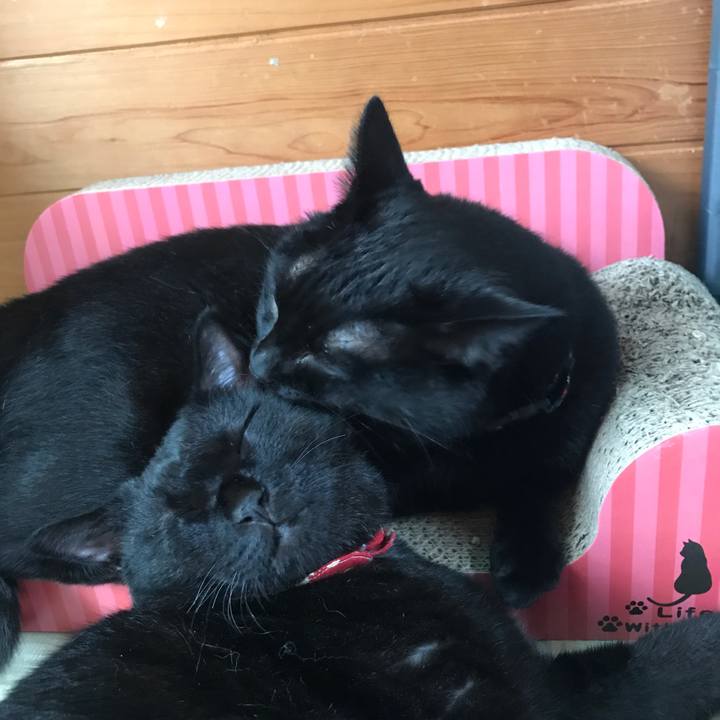 54f66adf 6165 4dc9 941b a9fb30f2a803