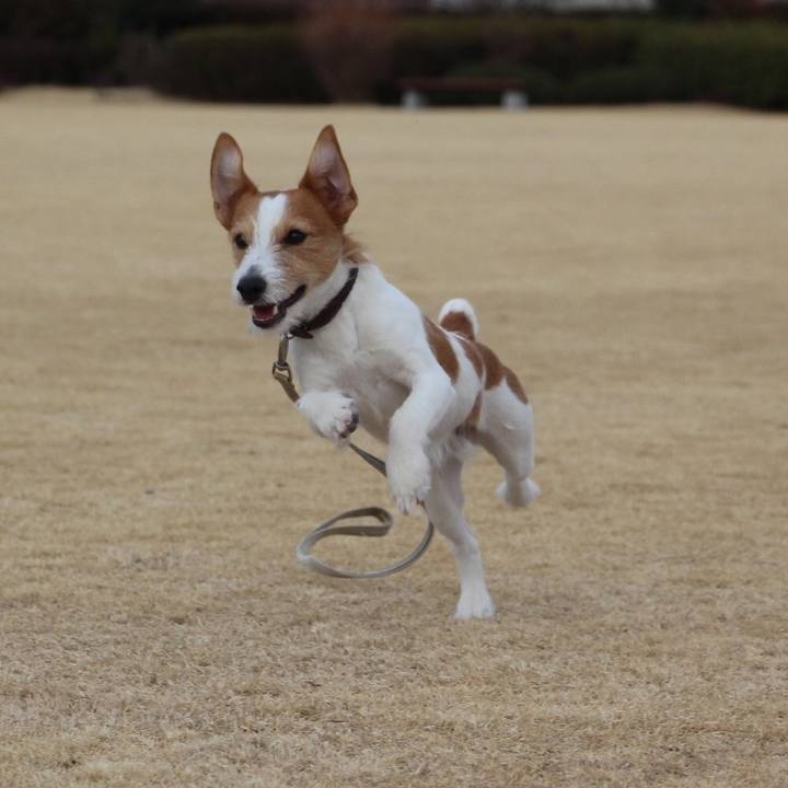 54f66bee e0f6 4e76 bbdc 815d23502678