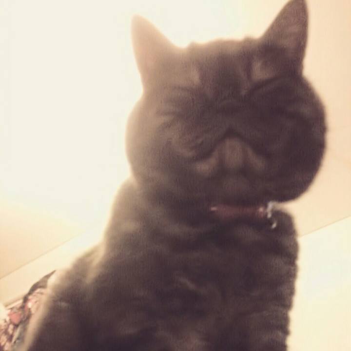 54f67b4b e831 45bf b439 df494bff15f3