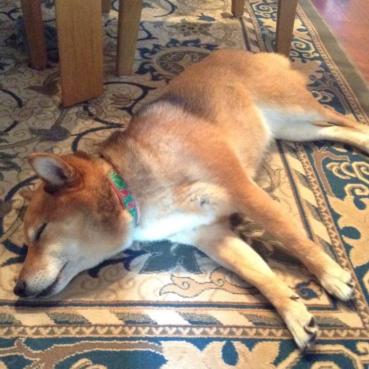 54f6a744 184c 4d0f 82b7 1cc3ac3cc84f