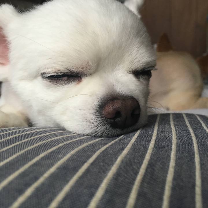 54f7156b 8949 4069 bea0 2ffde29b9f7a