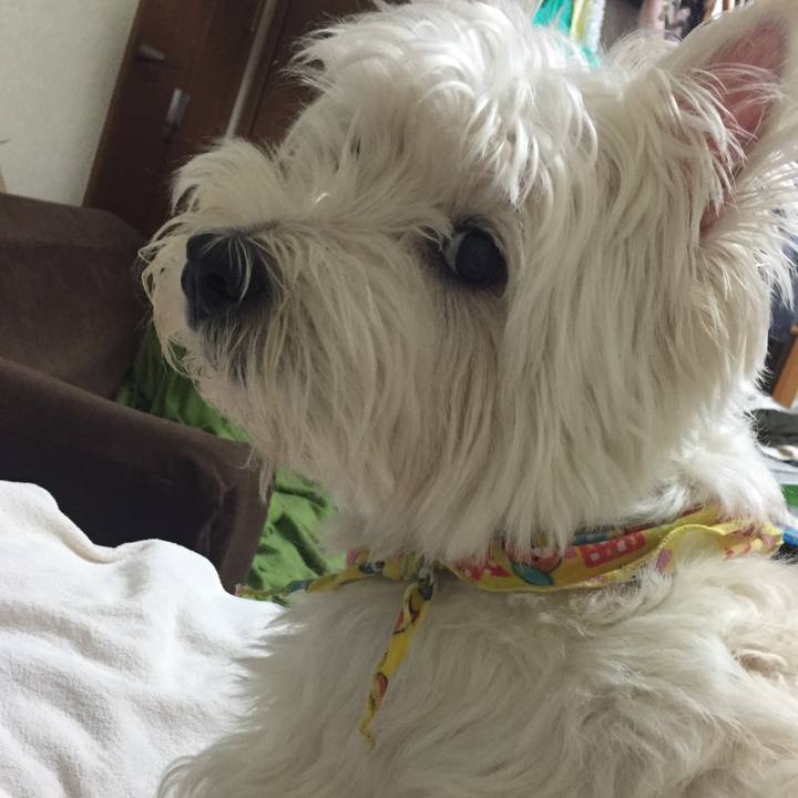 54f86391 b76b 4917 a1cf 3b5d9d77d5eb