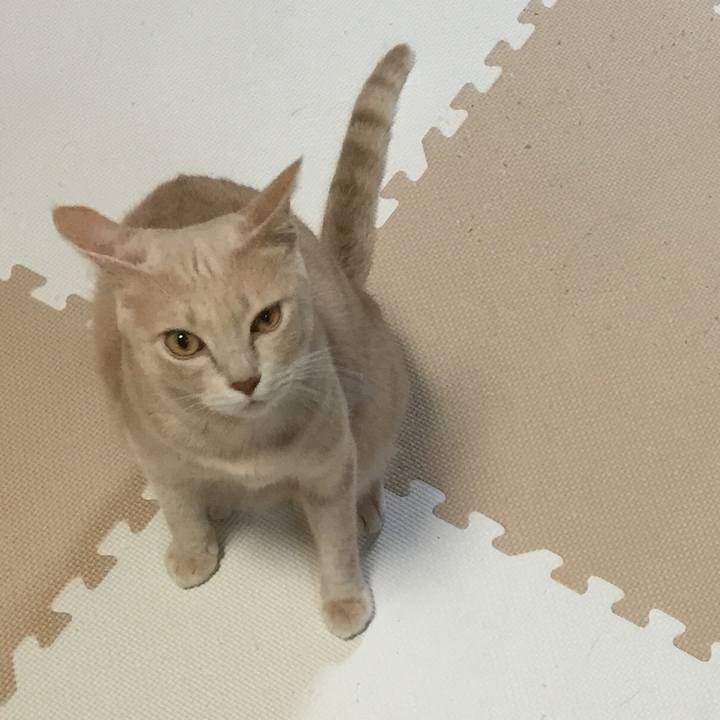 54f926a9 bd56 44cd a1b6 d73f19a482b9