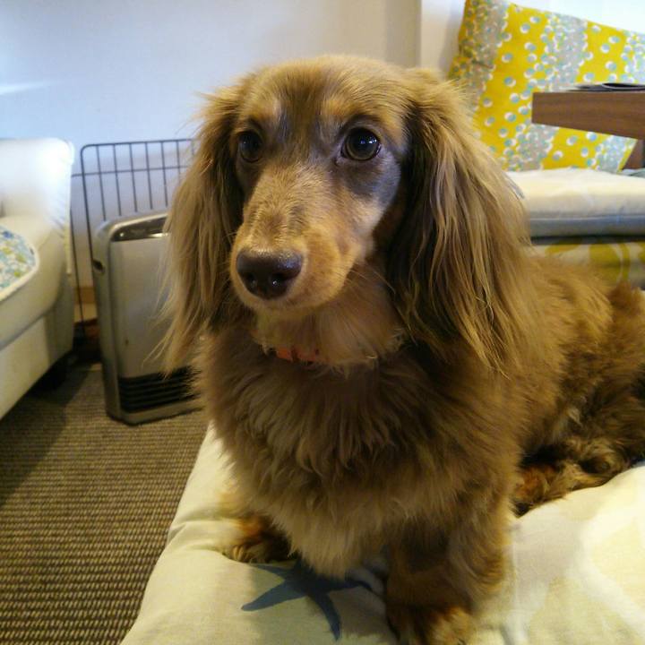 54f92e9e a7ae 47a2 b5c3 60534b18d8da