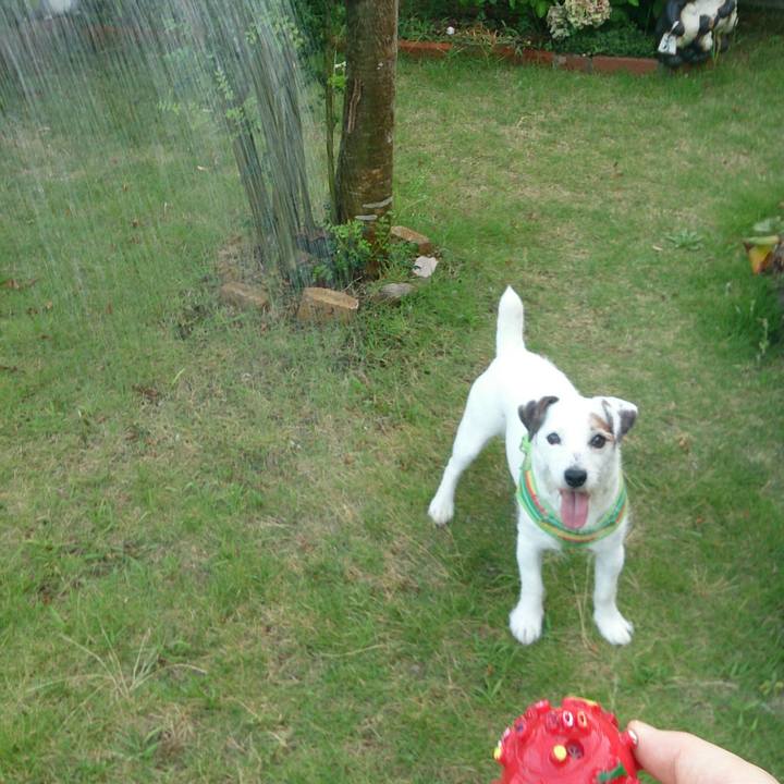 54f93df2 c592 49ec 809d fd00c6e958e6