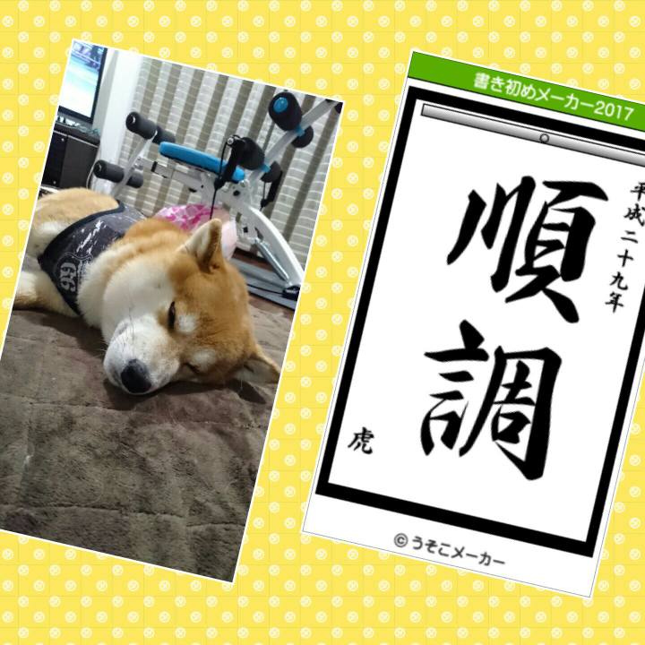 54f99b28 f985 4522 93b8 4948a99c2df1