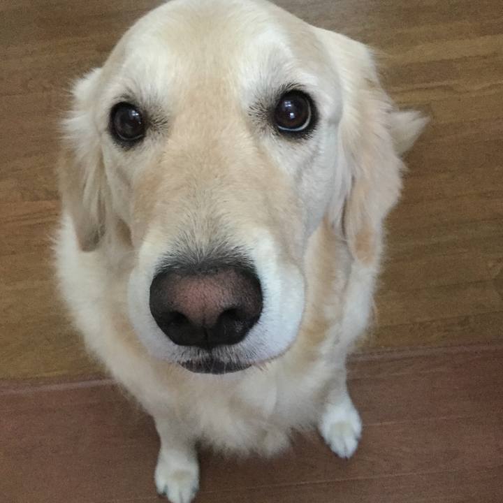 54fa5516 e952 412d a9a3 32b77a1003ec