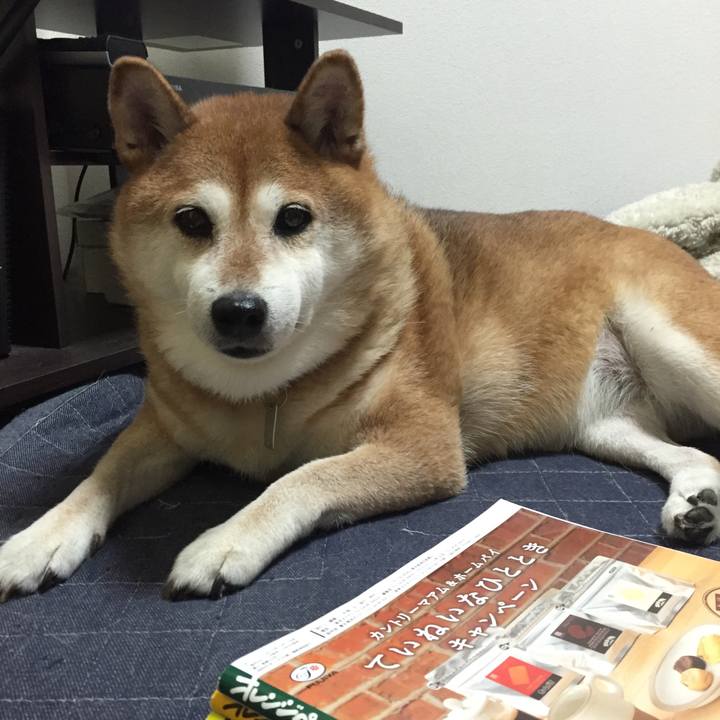 54fac246 8a67 49ac 95a3 7a21ff8dcfac