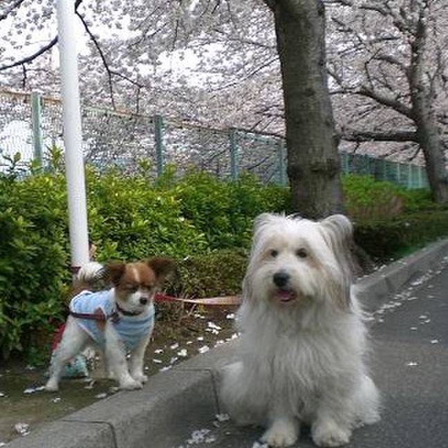 54facd56 854d 4cdd a3b9 28ed38936bbf