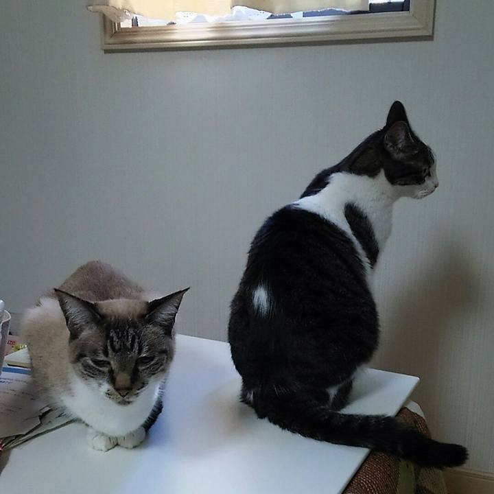 54fb5439 716f 4737 8096 950da0648f9e