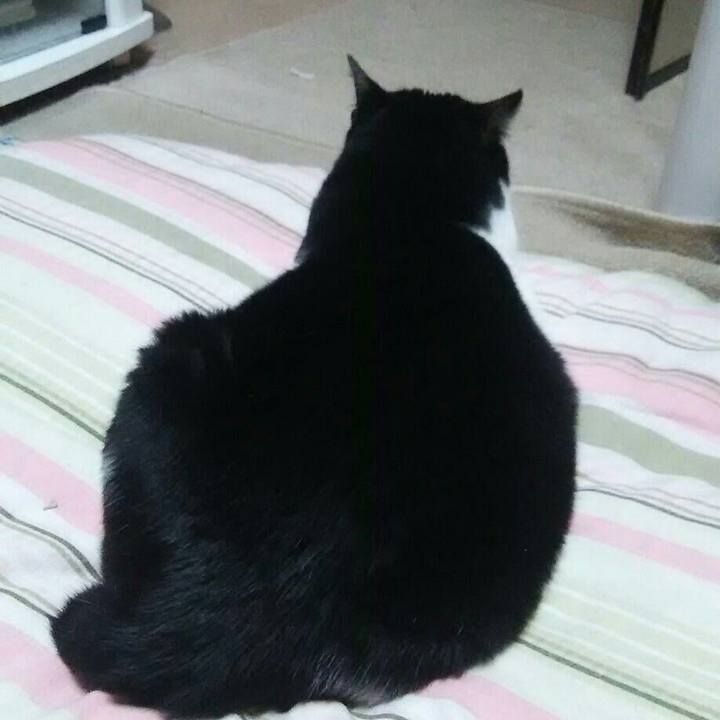 54fc24f4 b8cf 419a afb3 b49329edb62e