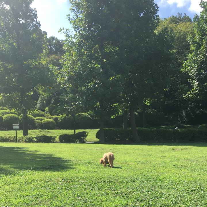 54fc5ec4 e044 43e3 bfcb fd628fff43ba