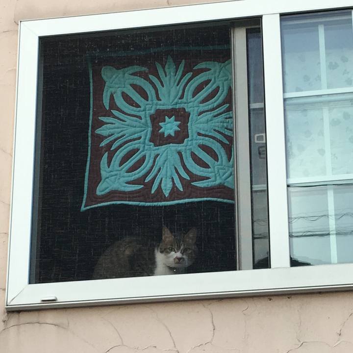 54fc9ed9 6a7e 47ee 8ab7 ef05cc5bcf2b