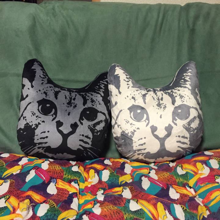 54fd766d 9e37 4232 a55f 316c7b10908d