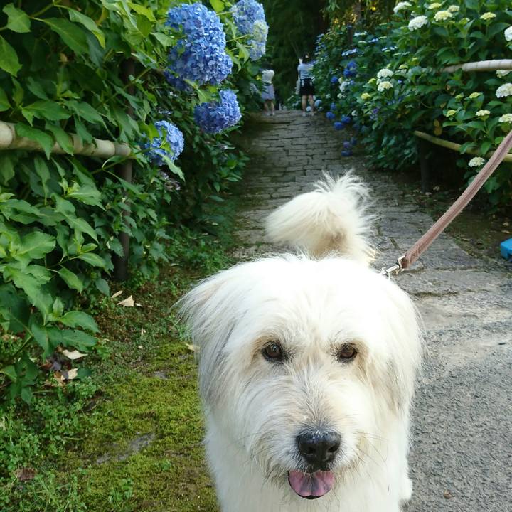 54fddd13 68c1 4a2d 9510 6ff76590bcee